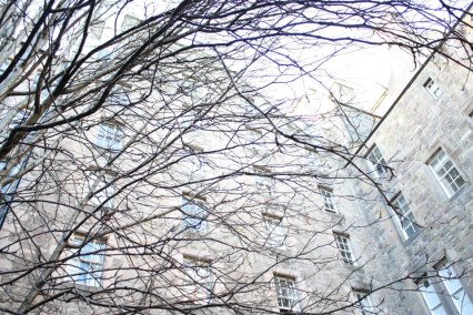 481775_4332659286301_1742536968_n